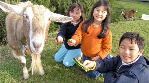 Johanna River Farm And Self Contained Cottages - VIC Tourism 0