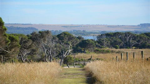 Lonsdale Views - VIC Tourism 8