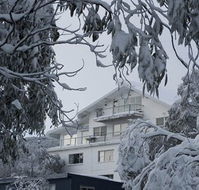 Attunga Alpine Lodge and Apartments