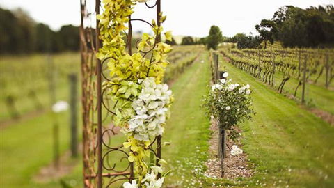 Glen Erin At Lancefield - VIC Tourism 8