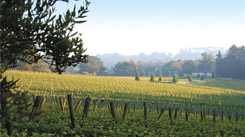 Lindenderry At Red Hill - VIC Tourism 1