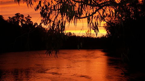 Cadell On The Murray Motel - VIC Tourism 0