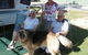 Wodonga Caravan And Cabin Park - thumb 1