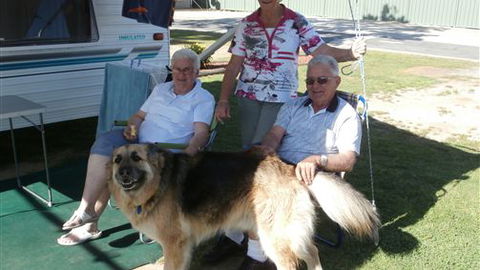 Wodonga Caravan And Cabin Park - VIC Tourism 1