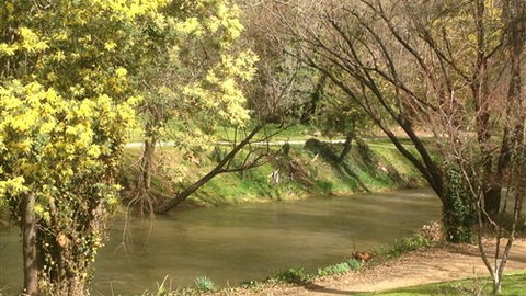 Snowstream Riverside Apartments - VIC Tourism 4