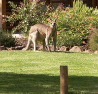 Southern Grampians Cottages - VIC Tourism