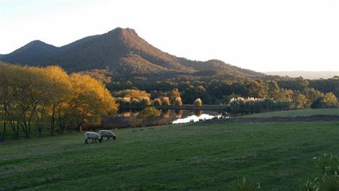 Cathedral Valley Farm - VIC Tourism 2