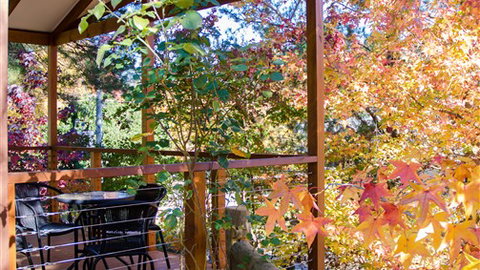 BIG4 Bright Holiday Park - VIC Tourism 2