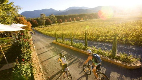 BIG4 Bright Holiday Park - VIC Tourism 6