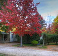 Bright Caravan Park - VIC Tourism