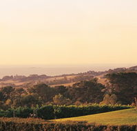 The Studio Bed and Breakfast - VIC Tourism