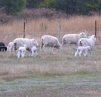 Auberge Woodend - VIC Tourism