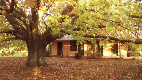 Delatite Station - VIC Tourism 3