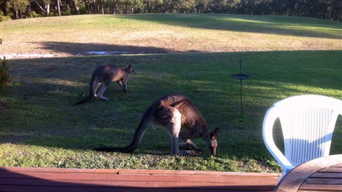 Lorne Bush House Cottages & Eco Retreats - VIC Tourism 8