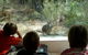Aquila Eco Lodges - thumb 4