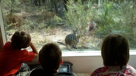 Aquila Eco Lodges - VIC Tourism 4