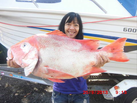 Flying Fish Point Tourist Park - VIC Tourism 6