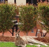 Alpha Canberra Hotel and Apartments - VIC Tourism