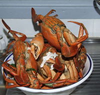 King Ash Bay Lodge - VIC Tourism