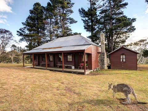 The Pines Cottage - VIC Tourism 0