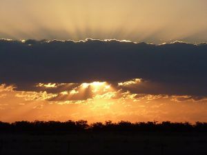 Collie NSW VIC Tourism