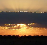 Collie Hotel - VIC Tourism