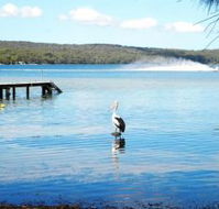 Dungowan Waterfront  Accommodation