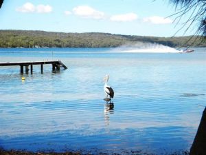 Dungowan Waterfront  Accommodation - VIC Tourism 0