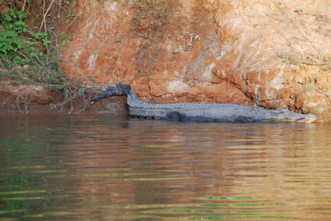 Mount Nancar Wilderness Retreat - VIC Tourism 3