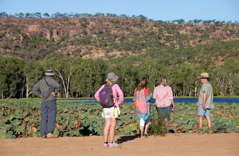 Mount Nancar Wilderness Retreat - VIC Tourism 5