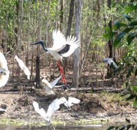 Rakhi Retreat - VIC Tourism