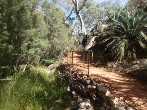 Standley Chasm Angkerle Camping - VIC Tourism 7