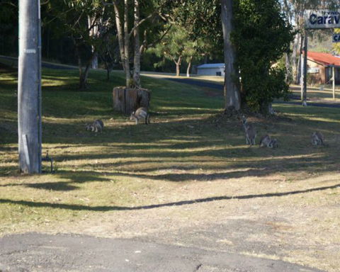 Tyndale Tourist Park & Roadhouse - VIC Tourism 3