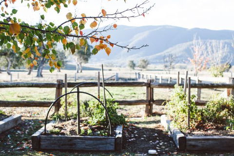 Alpine Edge Accommodation - VIC Tourism 5
