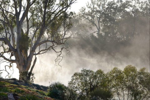 River Shack Rentals - Living The Dream - VIC Tourism 57