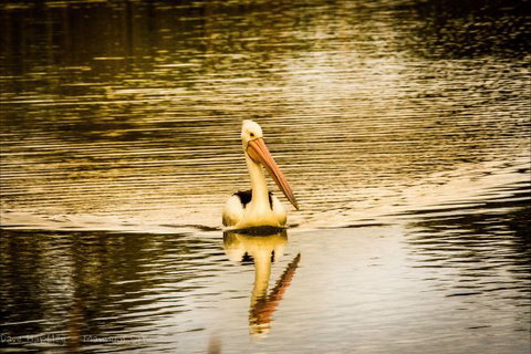 River Shack Rentals - Living The Dream - VIC Tourism 55