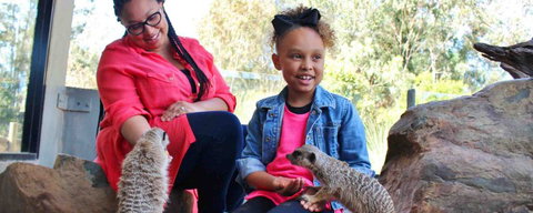 Billabong Koala And Wildlife Park - VIC Tourism 0