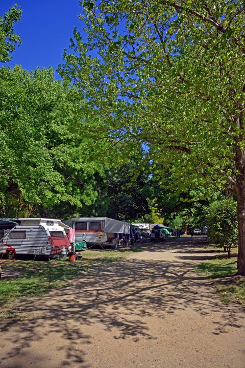 Ardern's Caravan Park, Myrtleford - VIC Tourism 1