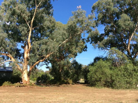 Balcraggon Accommodation - VIC Tourism 3