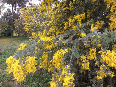 Balcraggon Accommodation - VIC Tourism 8