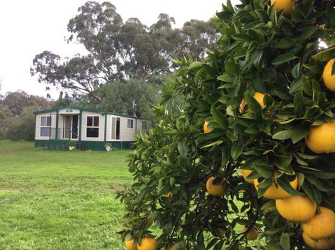 Balcraggon Accommodation - VIC Tourism 9