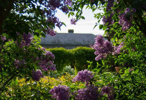 Eurambeen Historic Homestead And Gardens - VIC Tourism 1