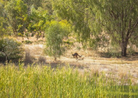 Girragirra Retreat - VIC Tourism 8