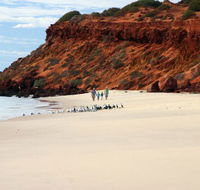Herald Bight Camp at Francois Peron National Park - VIC Tourism