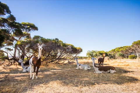 Kangaroo Island Health Retreat - VIC Tourism 8