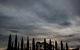 Piermont - thumb 1