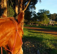 Billa Billa Farm Cottages - VIC Tourism