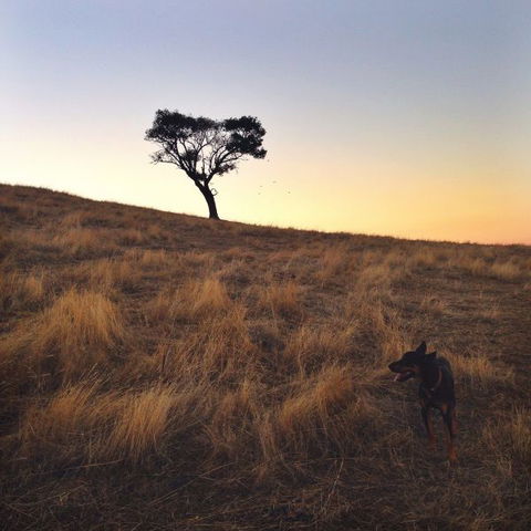 Kimo Estate - VIC Tourism 1