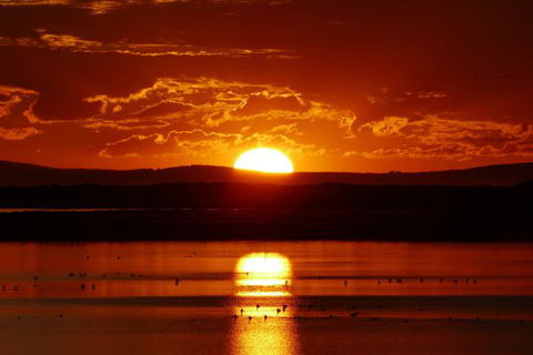 Mundoo Island Station - VIC Tourism 5