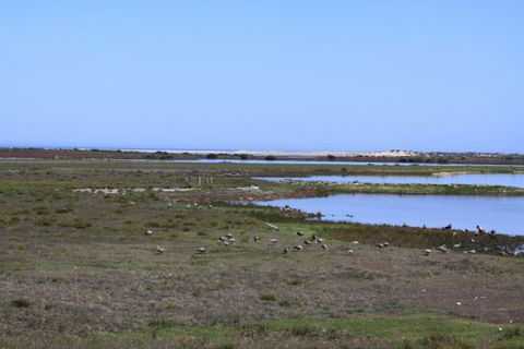 Mundoo Island Station - VIC Tourism 9